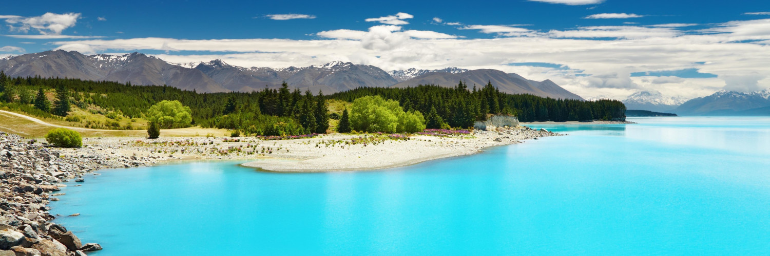 Sign up for ECCO’s Market newsletter today