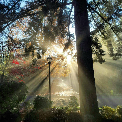 Sign up for ECCO’s Market newsletter today