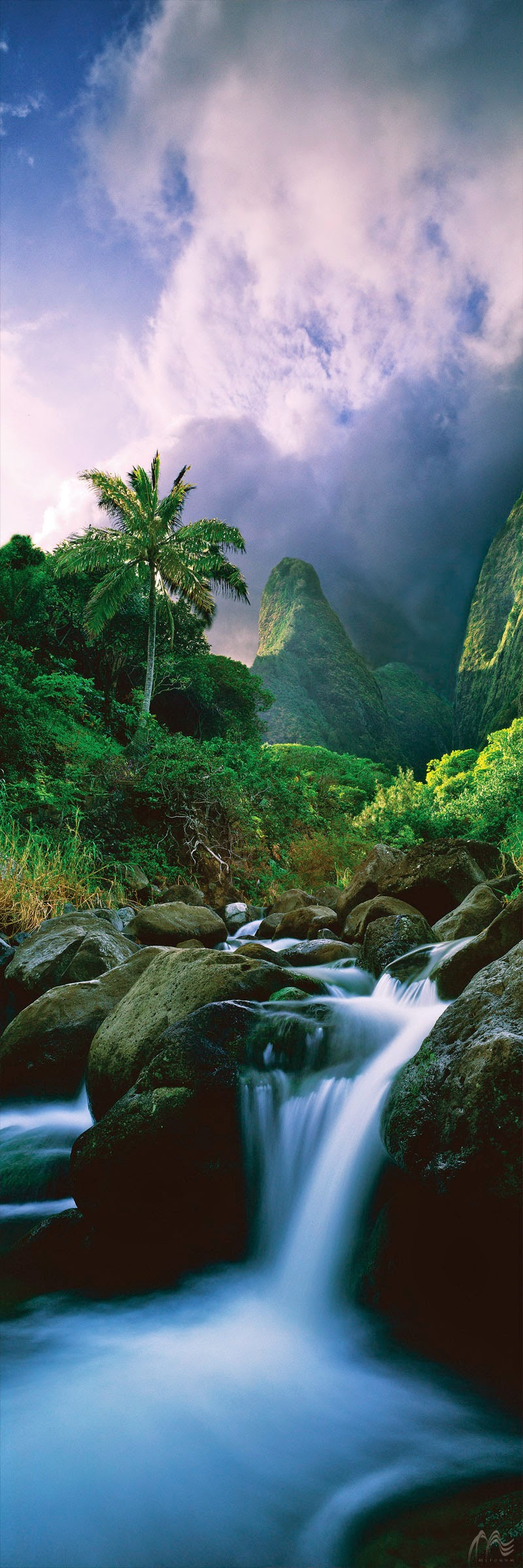 Sign up for ECCO’s Market newsletter today